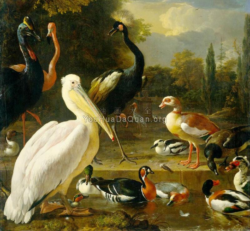 Pelican - 梅尔基奥尔·德·宏德柯特